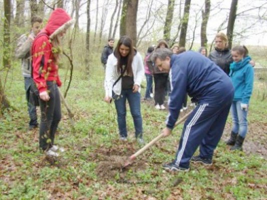 Enel plantează 700 de puieţi de stejar